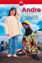 Andre poster