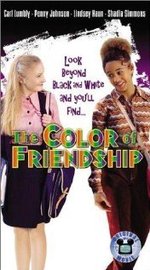The Color of Friendship poster